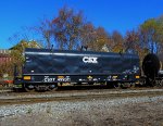 CSX 499311